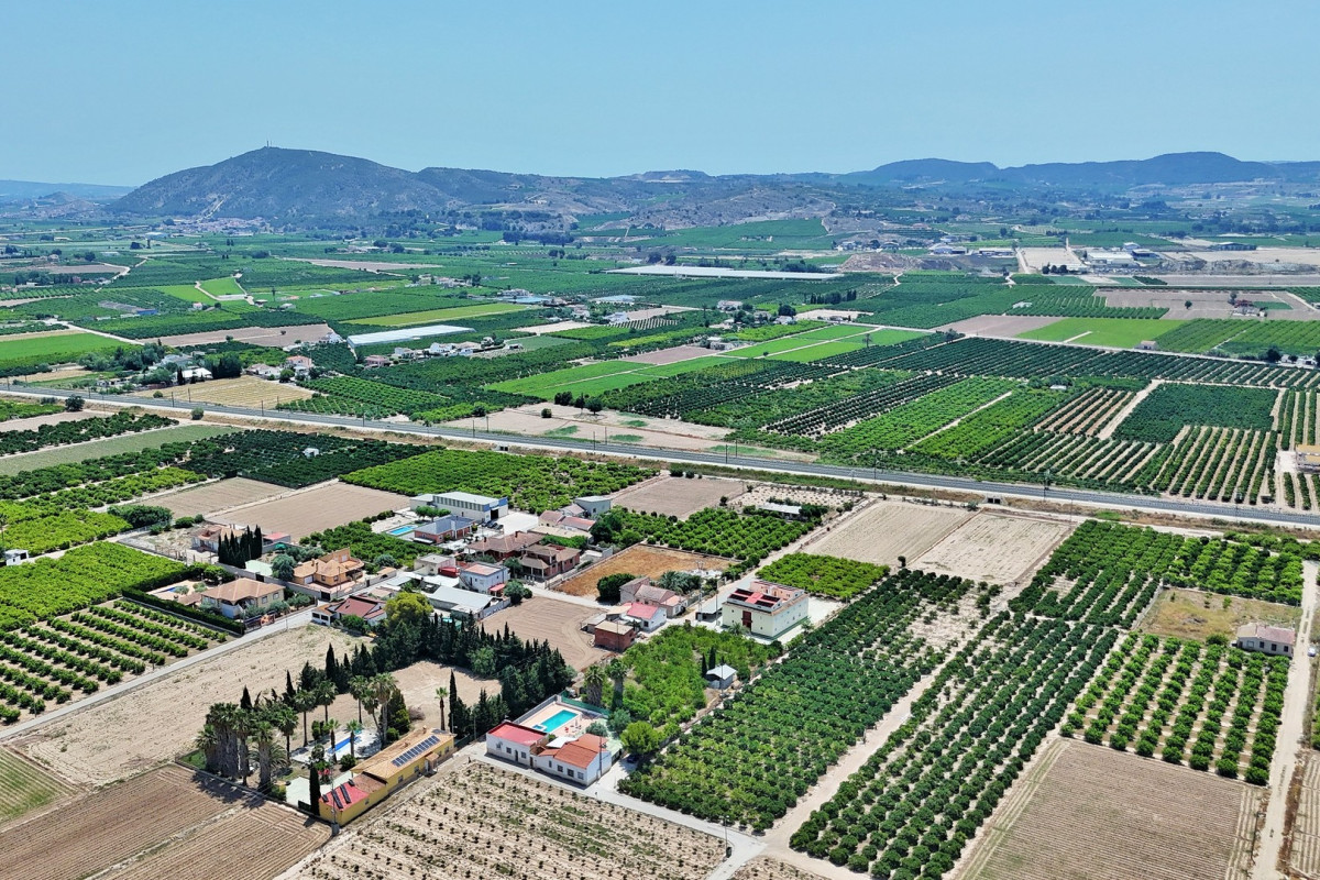 Revente - Maison de ville - Orihuela - Los Desamparados