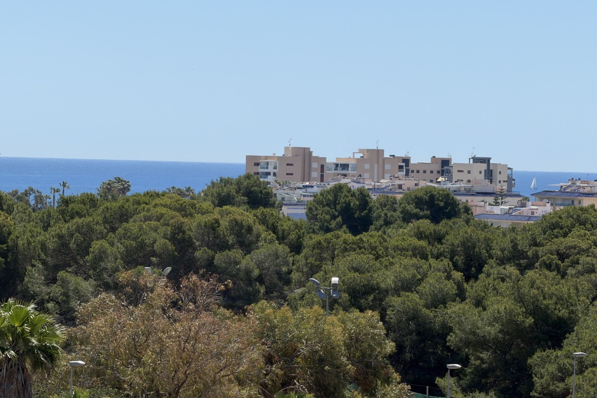 Herverkoop - Vrijstaande Villa - Orihuela Costa - Mil Palmeras