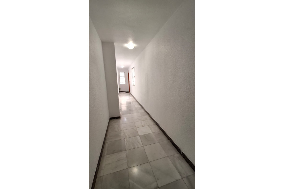 Herverkoop - Appartement  - Orihuela - Orihuela - City
