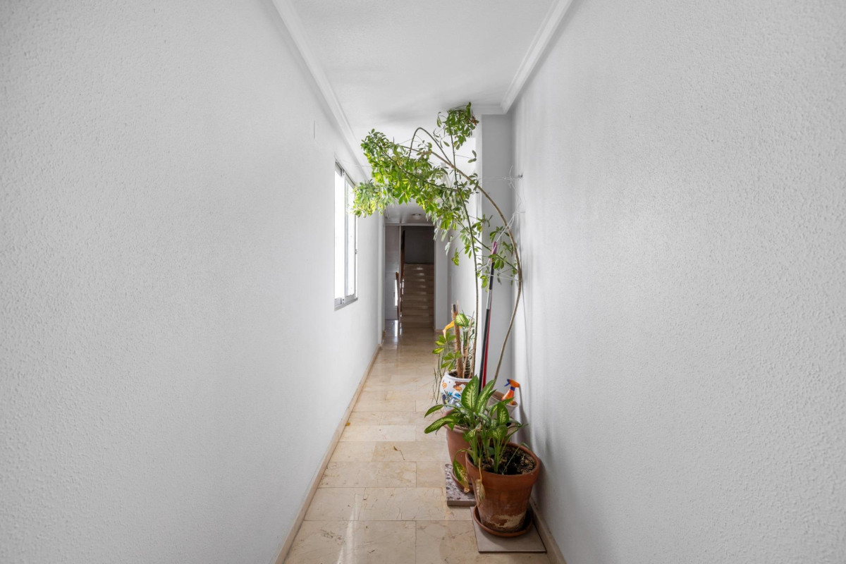 Herverkoop - Appartement  - Torrevieja - Playa del cura