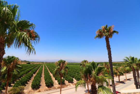 Herverkoop - Half Vrijstaande Woning - Algorfa - La Finca Golf Resort