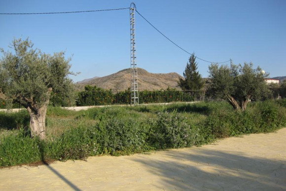 Reventa - House - Benferri - HUERTA PUEBLO
