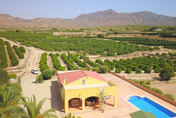 Reventa - Country Property - Albatera - Albatera - Country
