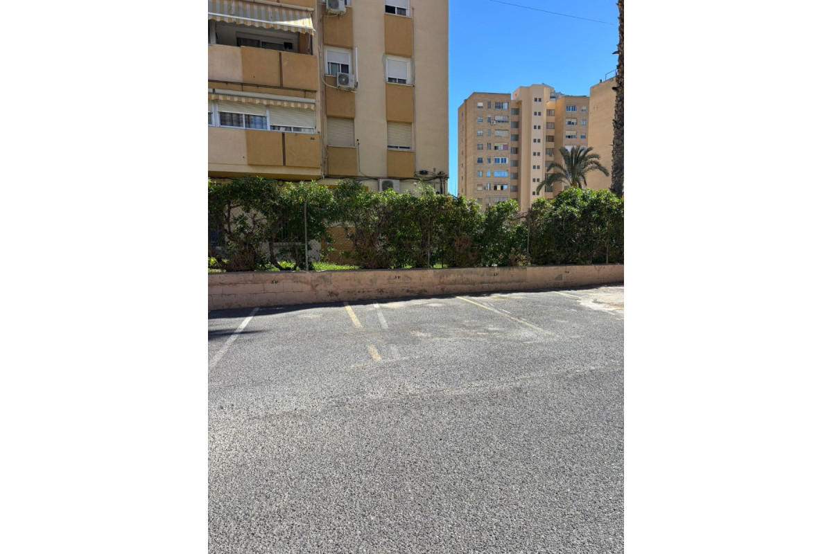 Revente - Apartment / flat - Benidorm - Levante