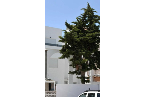 Revente - Maison de ville - Torrevieja - torrevieja