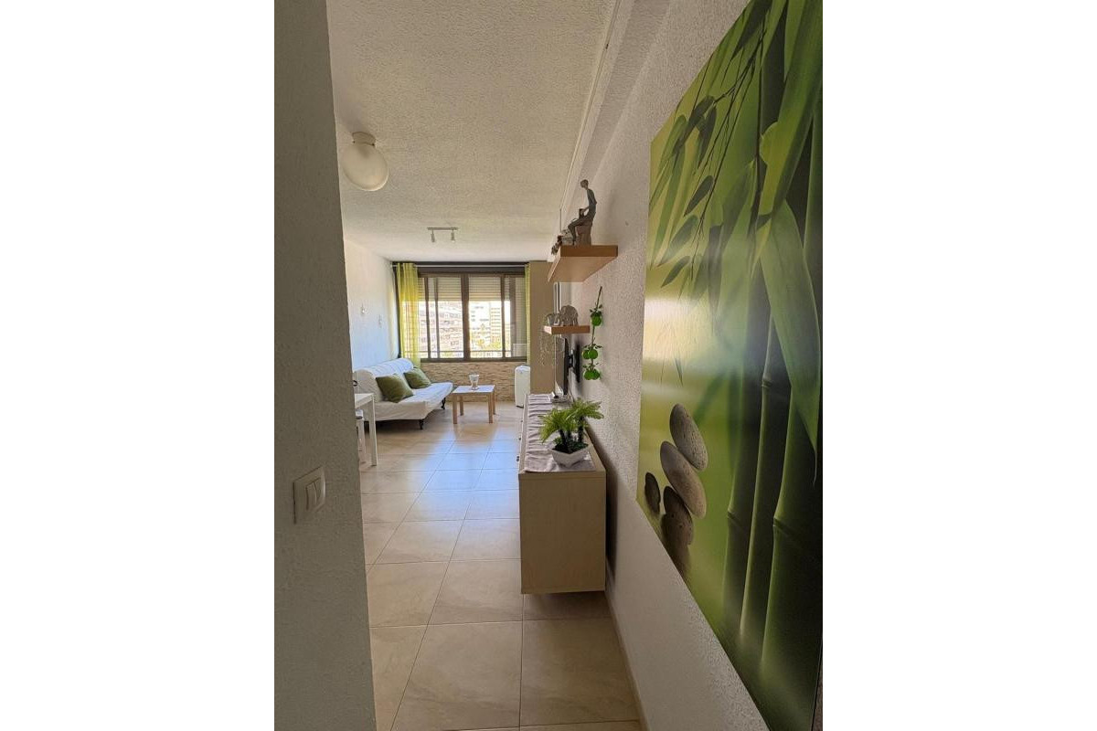 Reventa - Apartamento / piso - Torrevieja - torrevieja