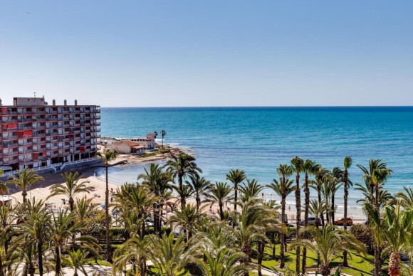 Revente - Appartement - Torrevieja - torrevieja