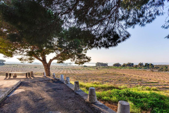 Revente - Appartement - Torrevieja - torrevieja