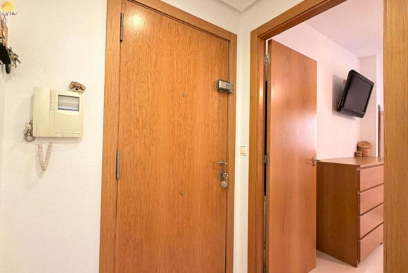 Revente - Appartement - Torrevieja - torrevieja