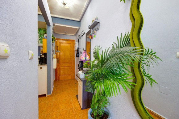 Resale - Apartment  - Torrevieja - torrevieja