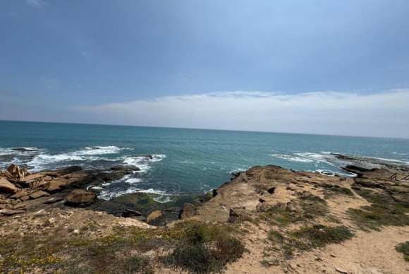 Revente - Appartement - Torrevieja - torrevieja
