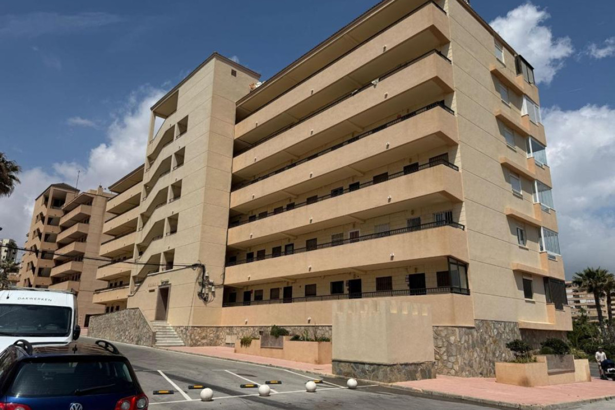 Revente - Appartement - Torrevieja - torrevieja