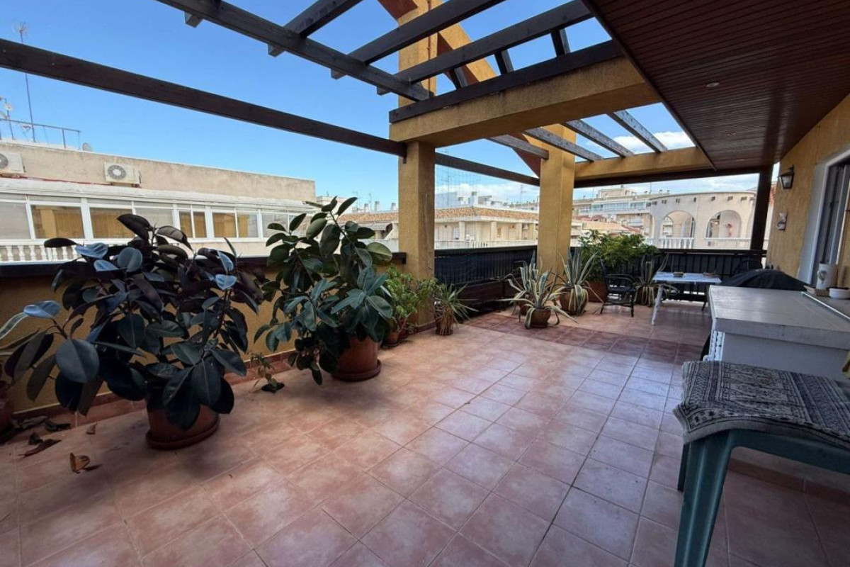 Revente - Appartement - Torrevieja - torrevieja