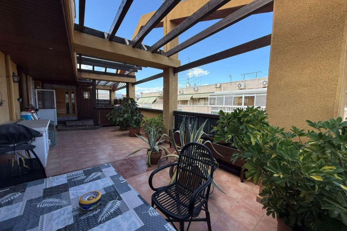 Revente - Appartement - Torrevieja - torrevieja