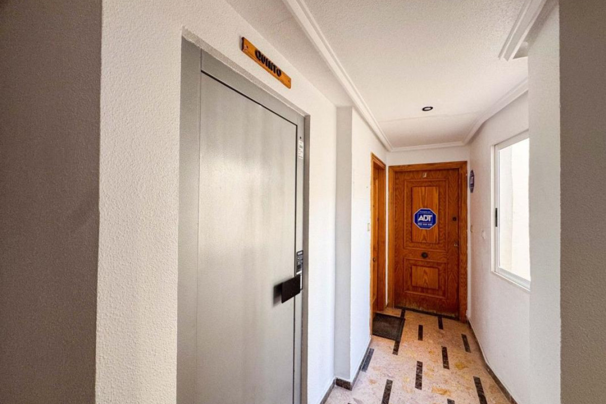 Resale - Apartment  - Torrevieja - torrevieja