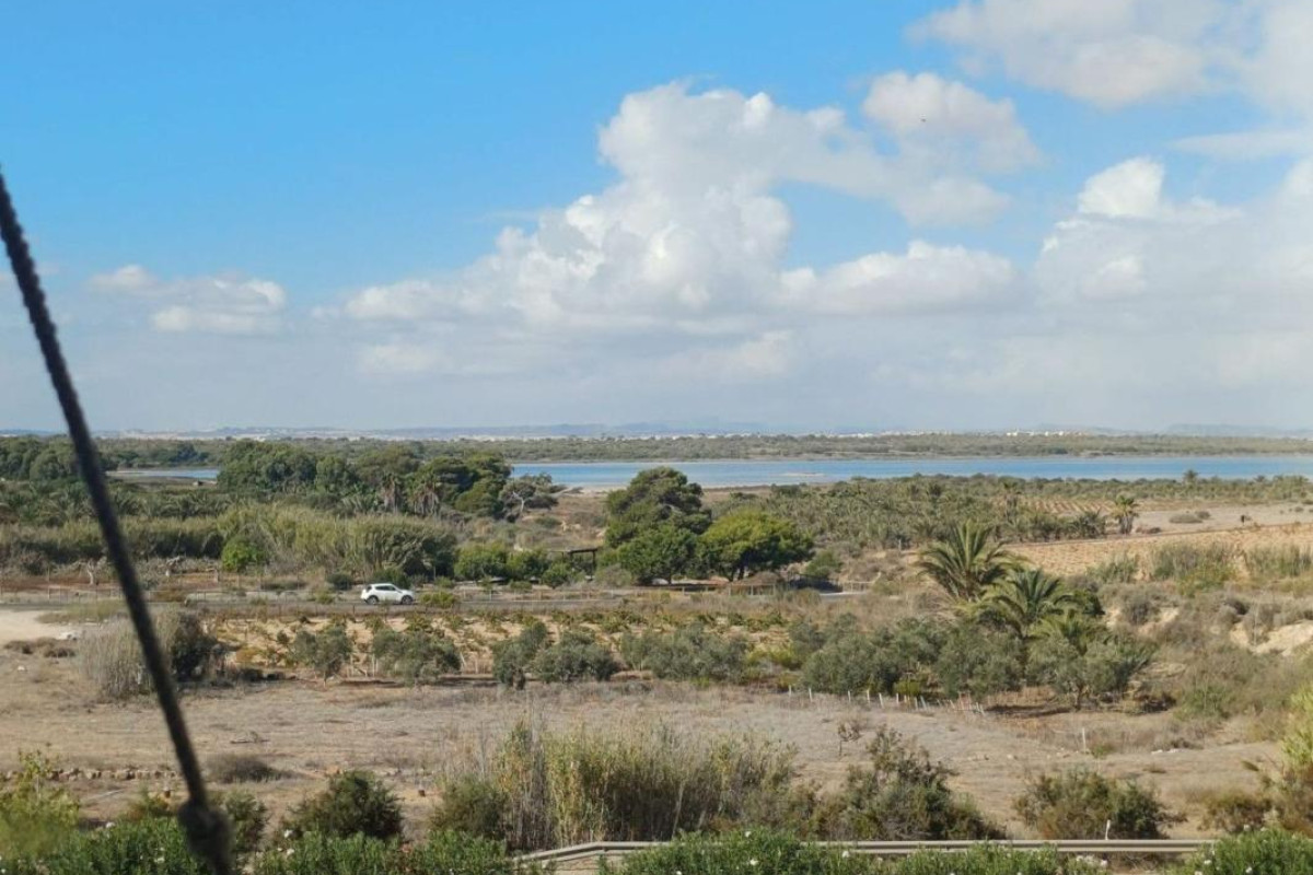 Revente - Appartement - Torrevieja - torrevieja