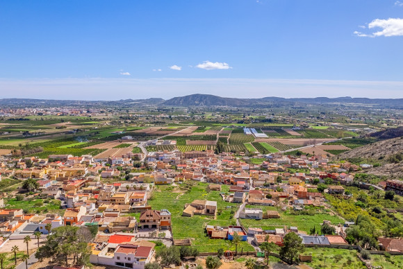 Reventa - Country Property - Orihuela - Raiguero de Bonanza