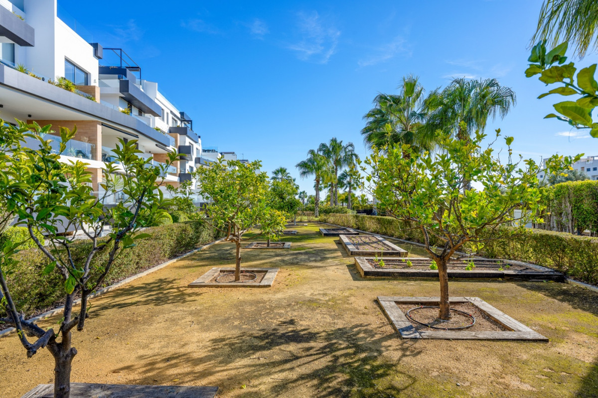 Reventa - Apartamento / piso - Orihuela Costa - Los Dolses
