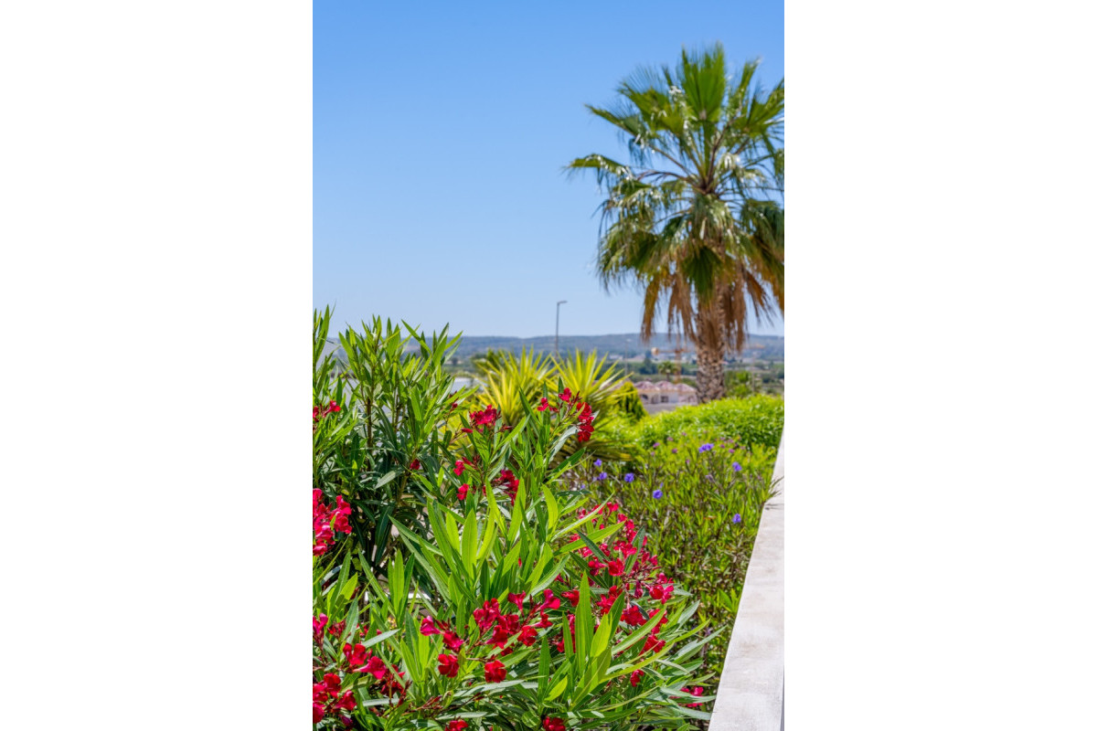 Reventa - Detached Villa - La Marina - La Marina - Urbanization