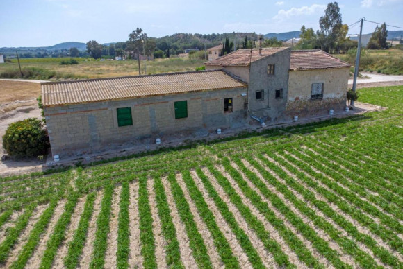 Reventa - Country House - Orihuela