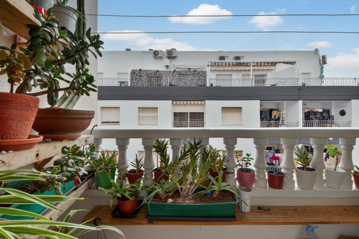 Revente - Appartement - Torrevieja - torrevieja