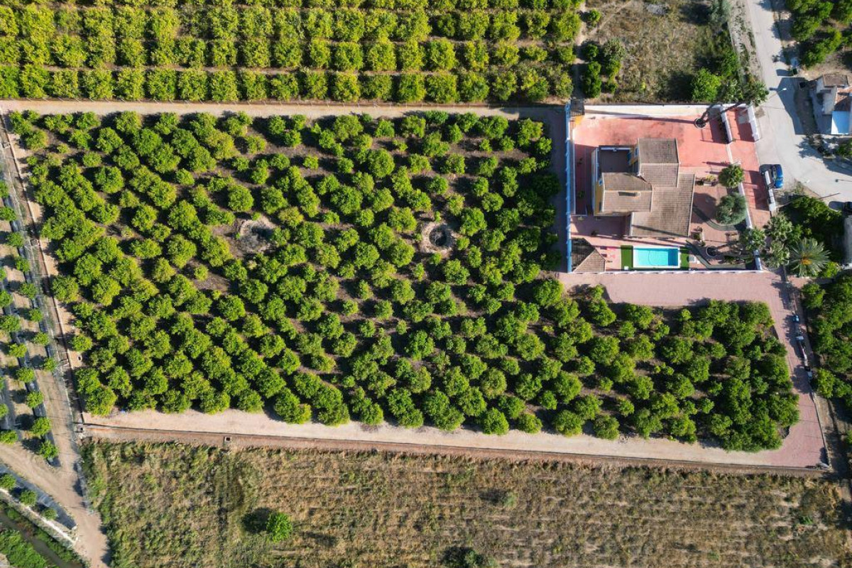 Reventa - House - Orihuela Costa - CAMPO