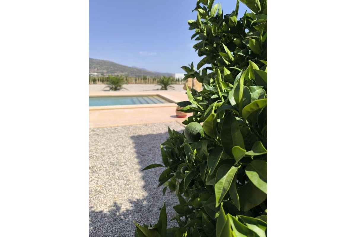Resale - Villa - Pinoso