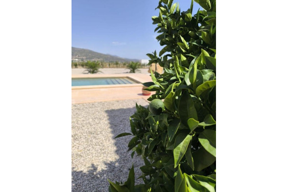 Resale - Villa - Pinoso