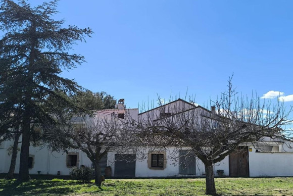 Herverkoop - Shop - Banyeres de Mariola