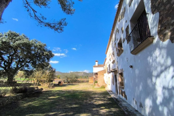 Herverkoop - Shop - Banyeres de Mariola
