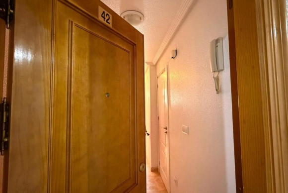 Resale - Apartment  - Torrevieja - torrevieja