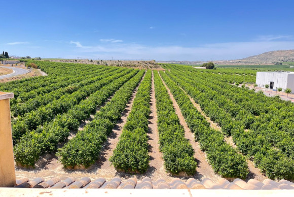 Reventa - Apartment - Flat - Algorfa - Pueblo