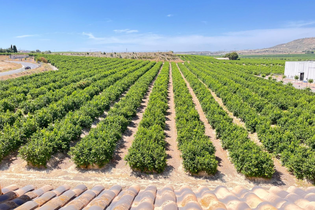 Reventa - Apartamento / piso - Algorfa - Algorfa - Village