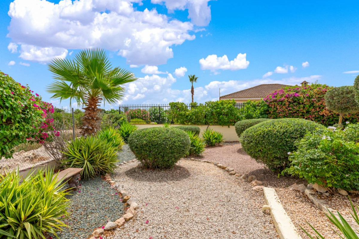 Resale - Villa - Catral