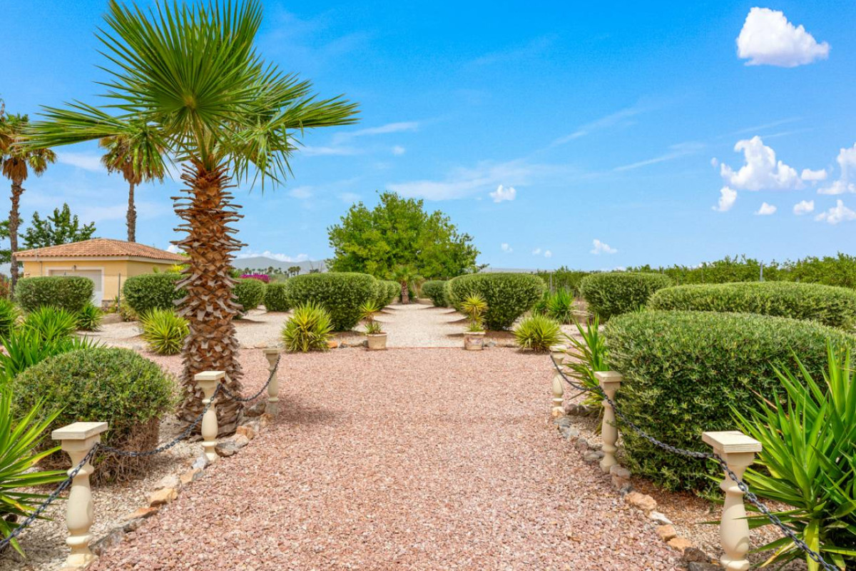 Resale - Villa - Catral