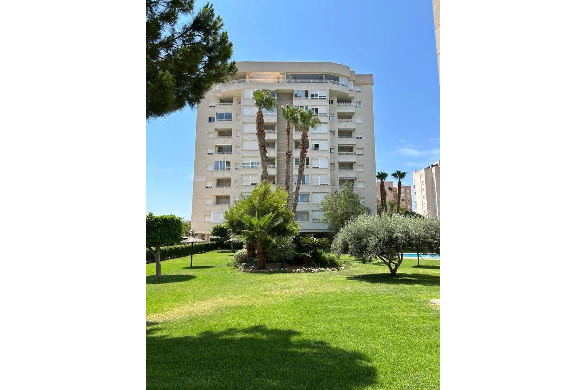 Revente - Appartement - Alicante / Alacant