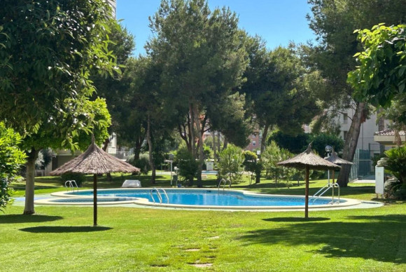 Revente - Appartement - Alicante / Alacant
