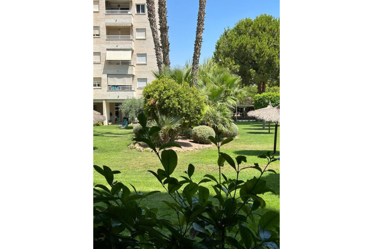 Revente - Appartement - Alicante / Alacant