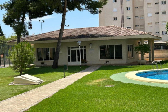 Revente - Appartement - Alicante / Alacant