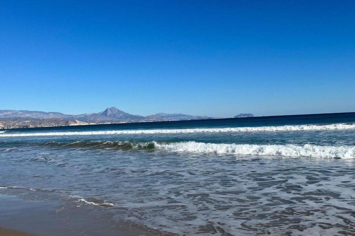 Revente - Appartement - Alicante / Alacant