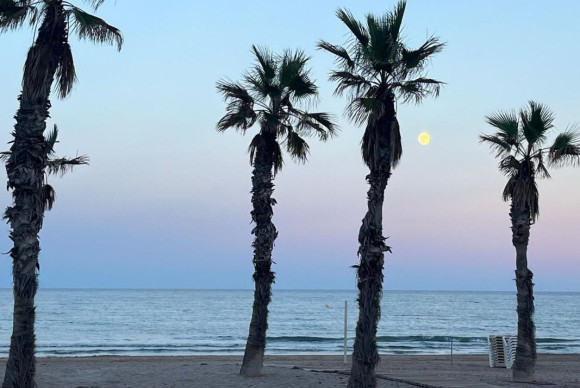 Revente - Appartement - Alicante / Alacant