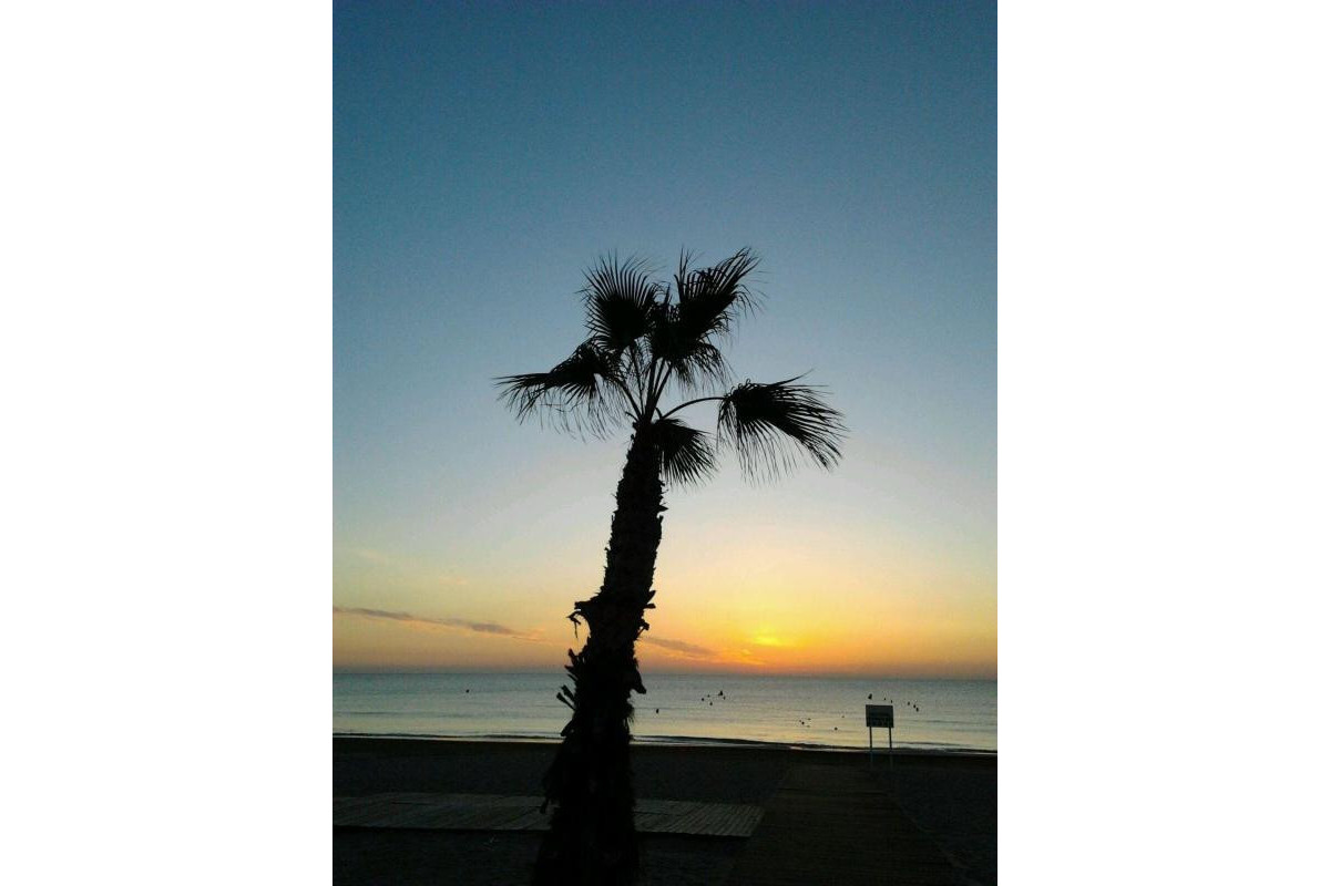 Revente - Appartement - Alicante / Alacant