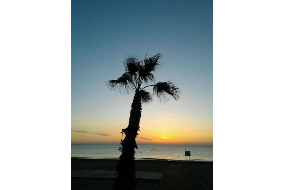 Revente - Appartement - Alicante / Alacant