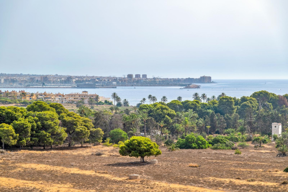 Herverkoop - Appartement  - Torrevieja - Punta prima