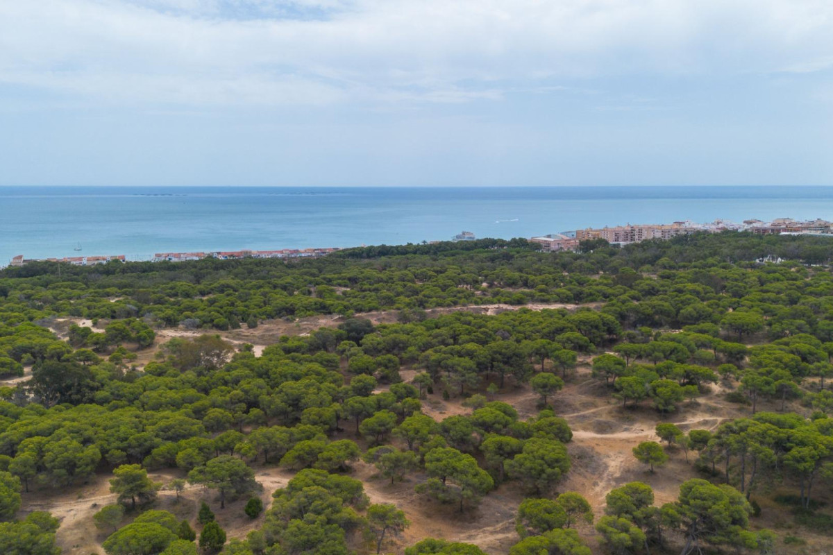 Herverkoop - Appartement  - Guardamar del Segura - CENTRO