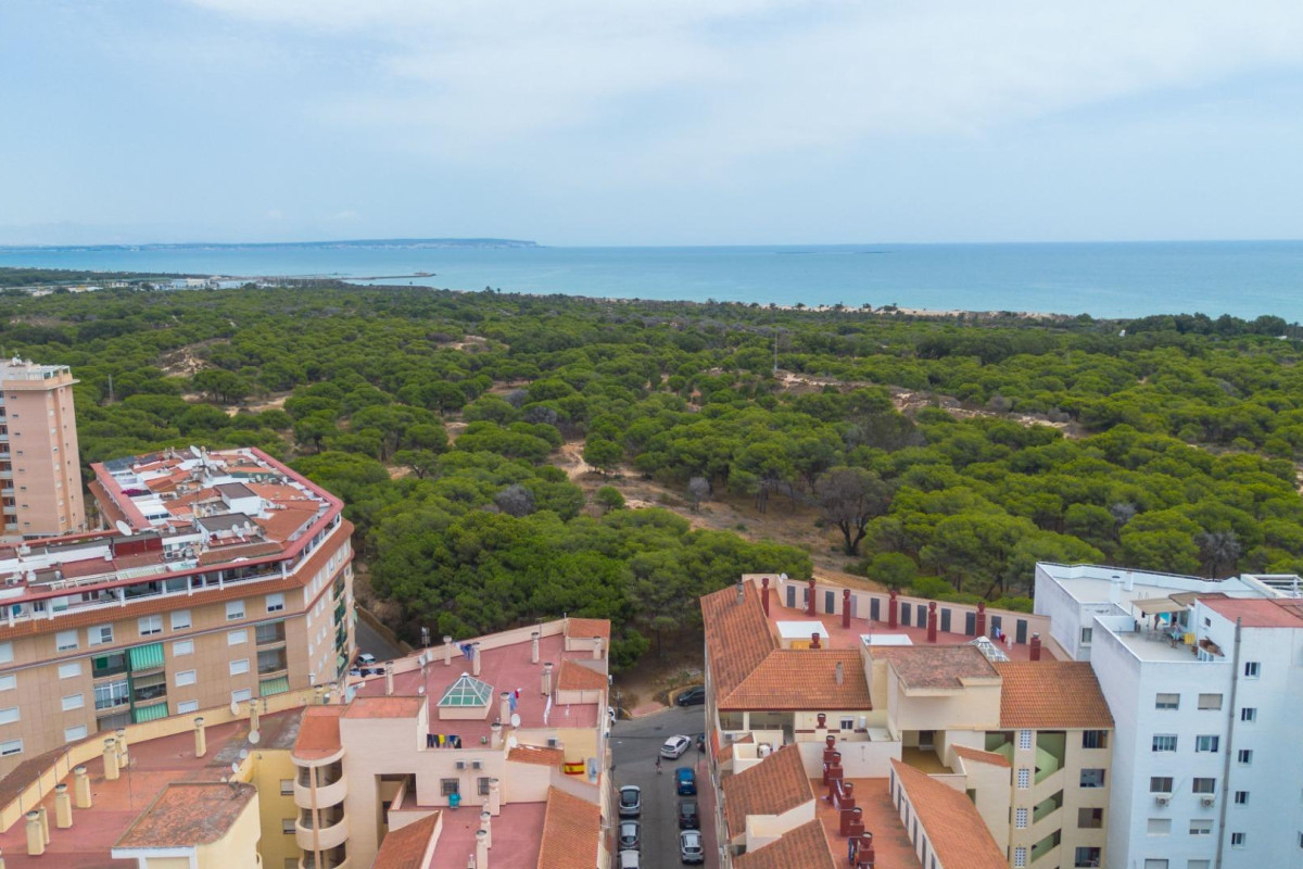 Herverkoop - Appartement  - Guardamar del Segura - CENTRO