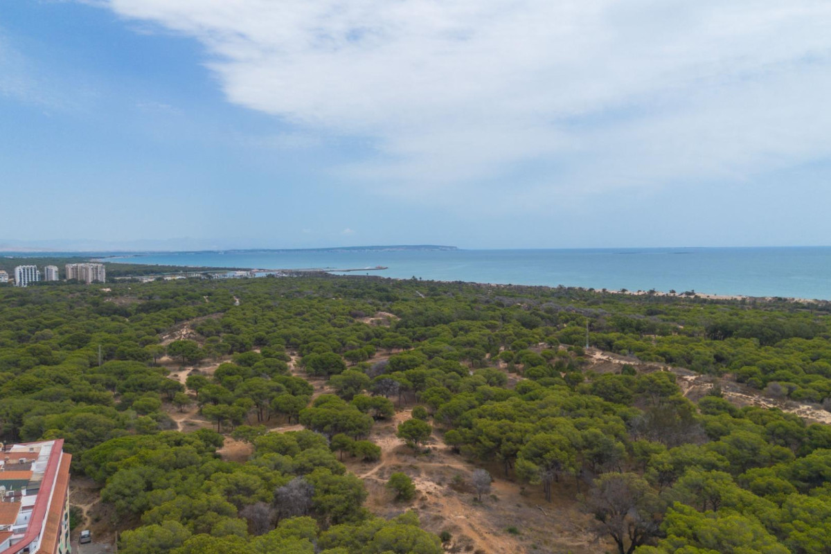 Herverkoop - Appartement  - Guardamar del Segura - CENTRO