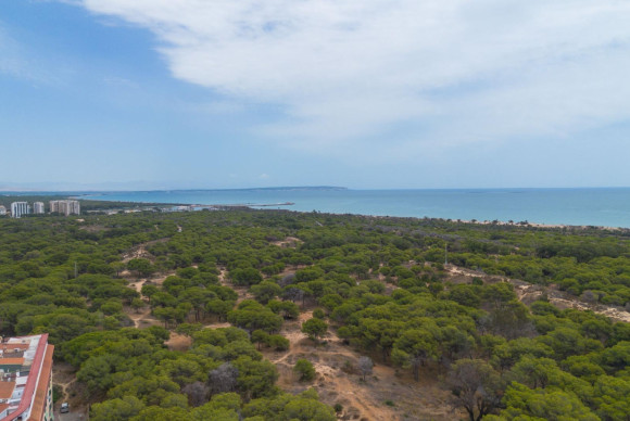 Herverkoop - Appartement  - Guardamar del Segura - CENTRO