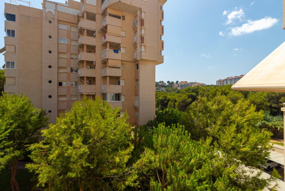 Herverkoop - Appartement  - Orihuela Costa - Campoamor