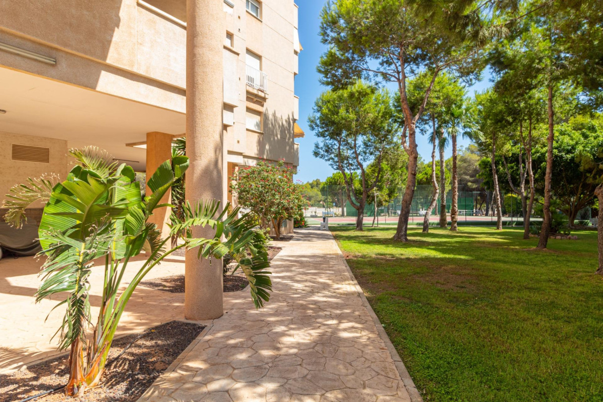 Herverkoop - Appartement  - Orihuela Costa - Campoamor